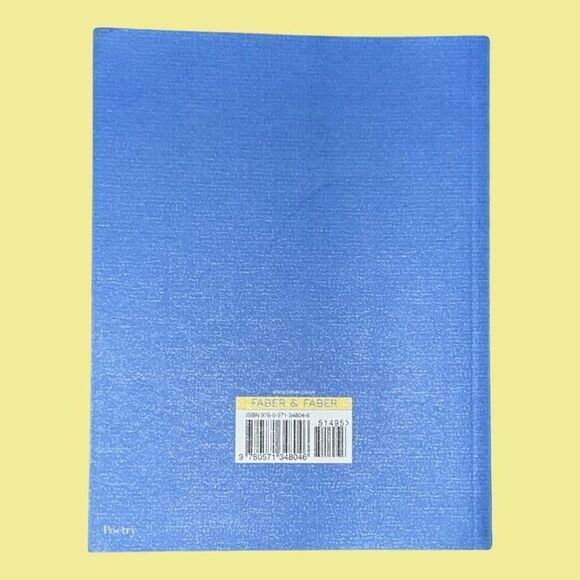 Flèche by Mary Jean Chan Paperback Poetry Book - Picture 2 of 2